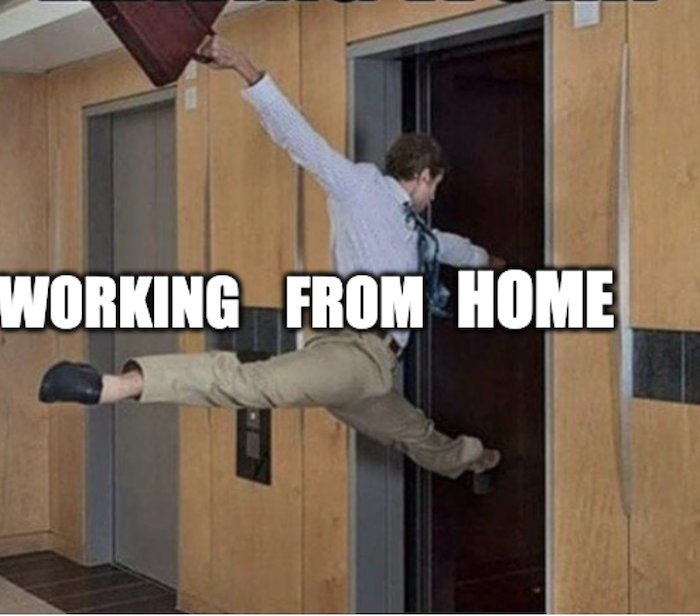 Best Work from Home Memes